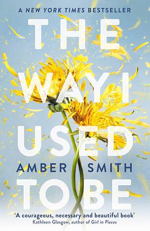 The Way I Used to Be: The TikTok sensation by Amber Smith, Amber Smith