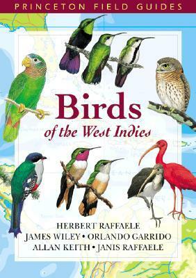 Birds of the West Indies by James Wiley, Orlando H. Garrido, Herbert A. Raffaele