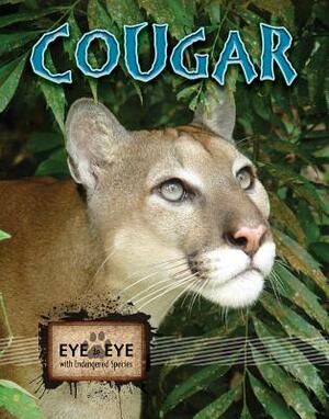 Cougars by Cindy Rodriguez