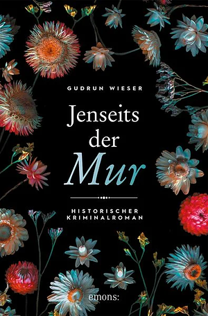 Jenseits der Mur: Historischer Kriminalroman by Gudrun Schutting-Wieser