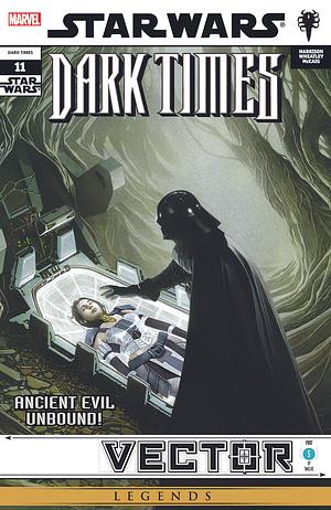 Star Wars: Dark Times (2006-2010) #11 by Randy Stradley, Mick Harrison