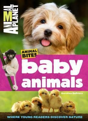 Animal Planet Baby Animals (Animal Bites Series) by Animal Planet, Dorothea DePrisco