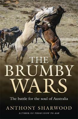 The Brumby Wars by Anthony Sharwood