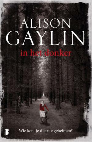 In het donker by Alison Gaylin