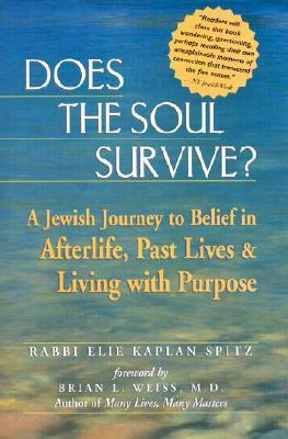 Does the Soul Survive?: A Jewish Journey to Belief in Afterlife, Past Lives & Living with Purpose by Elie Kaplan Spitz