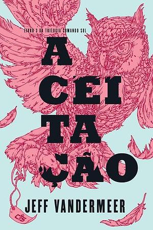 Aceitação by Jeff VanderMeer