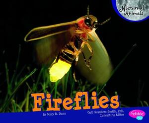 Fireflies by Mary R. Dunn