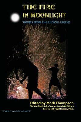 The Fire in Moonlight: Stories from the Radical Faeries 1971 - 2010 by 