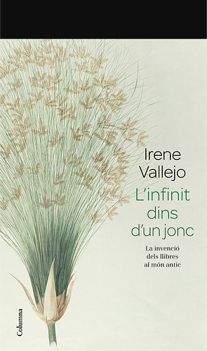 L'infinit dins d'un jonc: La invenció dels llibres al món antic by Irene Vallejo