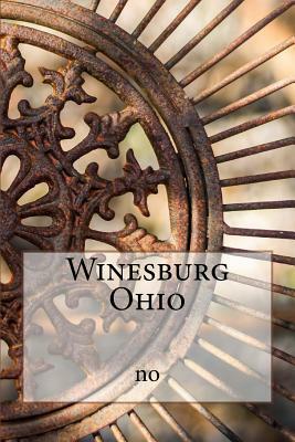 Winesburg Ohio by No