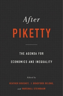 After Piketty: The Agenda for Economics and Inequality by J. Bradford DeLong, Heather Boushey, Marshall Steinbaum