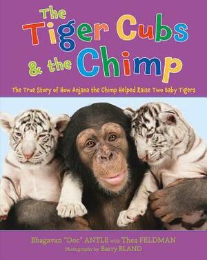 The Tiger Cubs and the Chimp: The True Story of How Anjana the Chimp Helped Raise Two Baby Tigers by Barry Bland, Bhagavan Antle, Thea Feldman