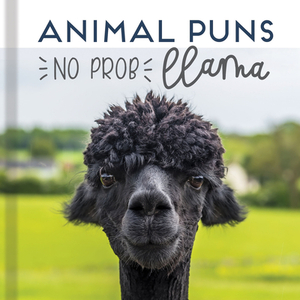 Animal Puns: No Prob Llama by Publications International Ltd, New Seasons