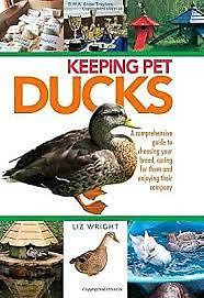 Keeping Pet Ducks by Liz Wright