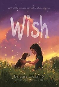 Wish by Barbara O'Connor