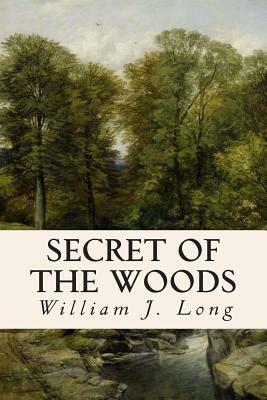 Secret of the Woods by William J. Long