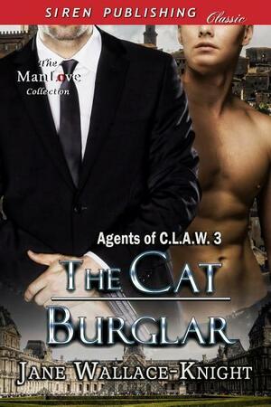 The Cat Burglar by Jane Wallace-Knight