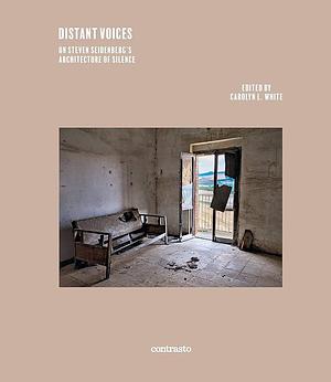 Distant Voices: On Steven Seidenberg's the ARCHITECTURE of SILENCE by Carolyn White