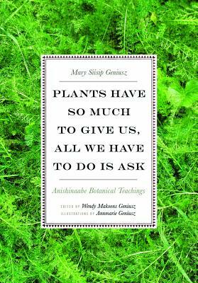 Plants Have So Much to Give Us, All We Have to Do Is Ask: Anishinaabe Botanical Teachings by Mary Siisip Geniusz