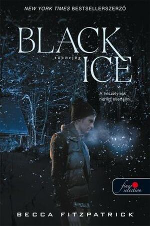 Black Ice - Tükörjég by Becca Fitzpatrick