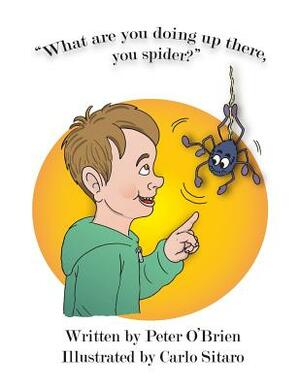 What Are You Doing up There, You Spider? by Peter O'Brien