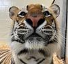 appalachia's profile picture