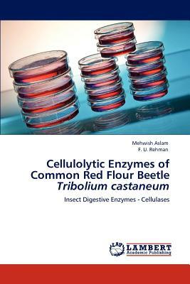 Cellulolytic Enzymes of Common Red Flour Beetle >I by F. U. Rehman, Mehwish Aslam