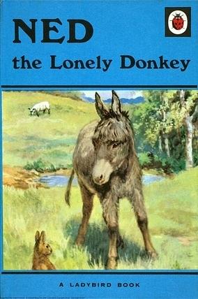 Ned the Lonely Donkey by Noel Barr