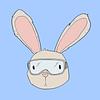 lolabear's profile picture