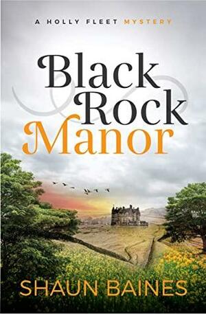 Black Rock Manor: A Holly Fleet Cosy Mystery by Shaun Baines