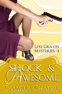Shock and Awesome by Camilla Chafer