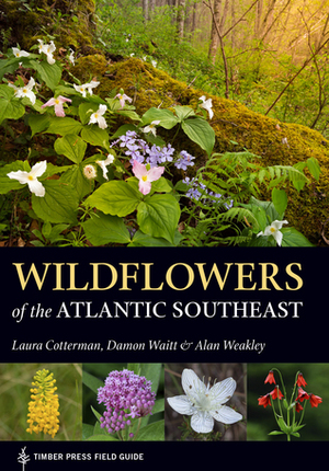 Wildflowers of the Atlantic Southeast by Damon Waitt, Laura Cotterman, Alan Weakley