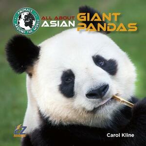 All about Asian Giant Pandas by Carol Kline