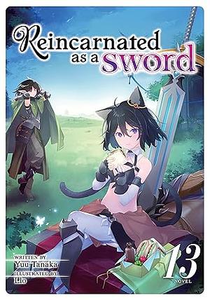 Reincarnated as a Sword (Light Novel) Vol. 13 by Yuu Tanaka