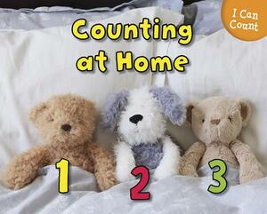 Counting at Home by Rebecca Rissman