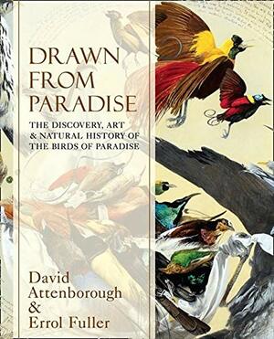 Drawn from Paradise: The Discovery, Art and Natural History of the Birds of Paradise by David Attenborough, Errol Fuller