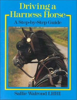 Driving a Harness Horse by Sallie Walrond