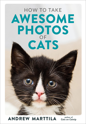 How to Take Awesome Photos of Cats by Andrew Marttila