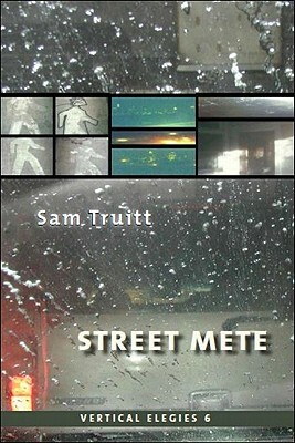 Vertical Elegies 6: Street Mete by Sam Truitt