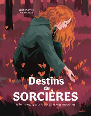 Destins de sorcières: 15 femmes, 15 esprits libres, 15 vies meurtries by Solène Cornec