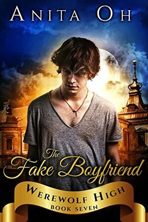 The Fake Boyfriend by Anita Oh