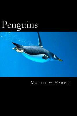 Penguins: A Fascinating Book Containing Penguin Facts, Trivia, Images (In Color) & Memory Recall Quiz: Suitable for Adults & Chi by Matthew Harper