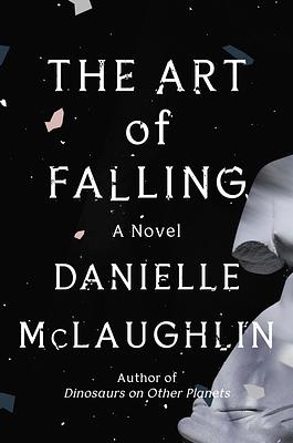 The Art of Falling by Danielle McLaughlin