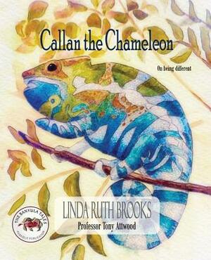 Callan the Chameleon: On being different by Tony Attwood, Linda Ruth Brooks
