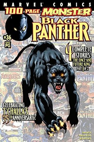 Black Panther #36 by Sal Velluto, Christopher J. Priest