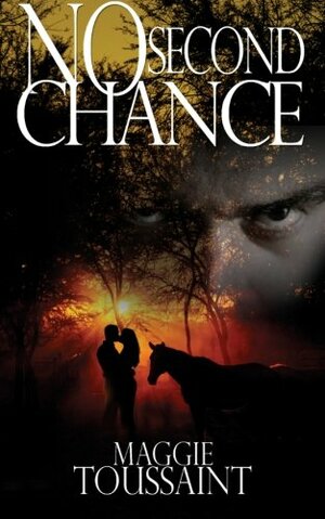 No Second Chance by Maggie Toussaint