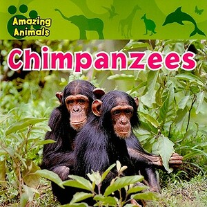 Chimpanzees by Sarah Albee