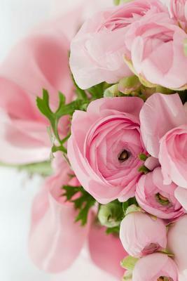 Pink Roses: Light Pink Roses Express Gentleness and Admiration While Dark Pink Roses Show Gratitude. by Planners and Journals