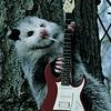 dovelie's profile picture
