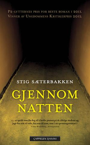 Gjennom natten by Stig Sæterbakken